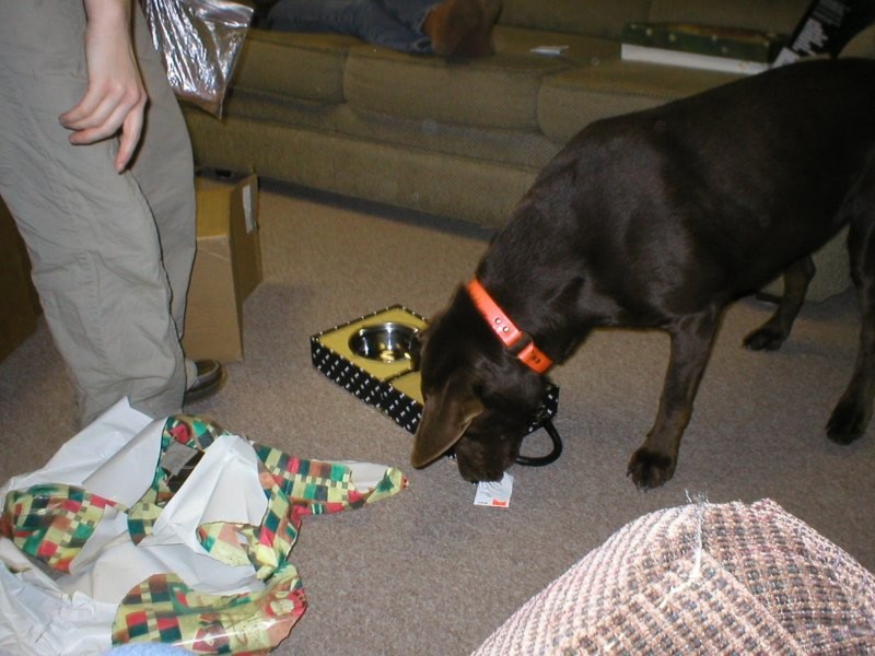 Katie's Christmas present 2.jpg